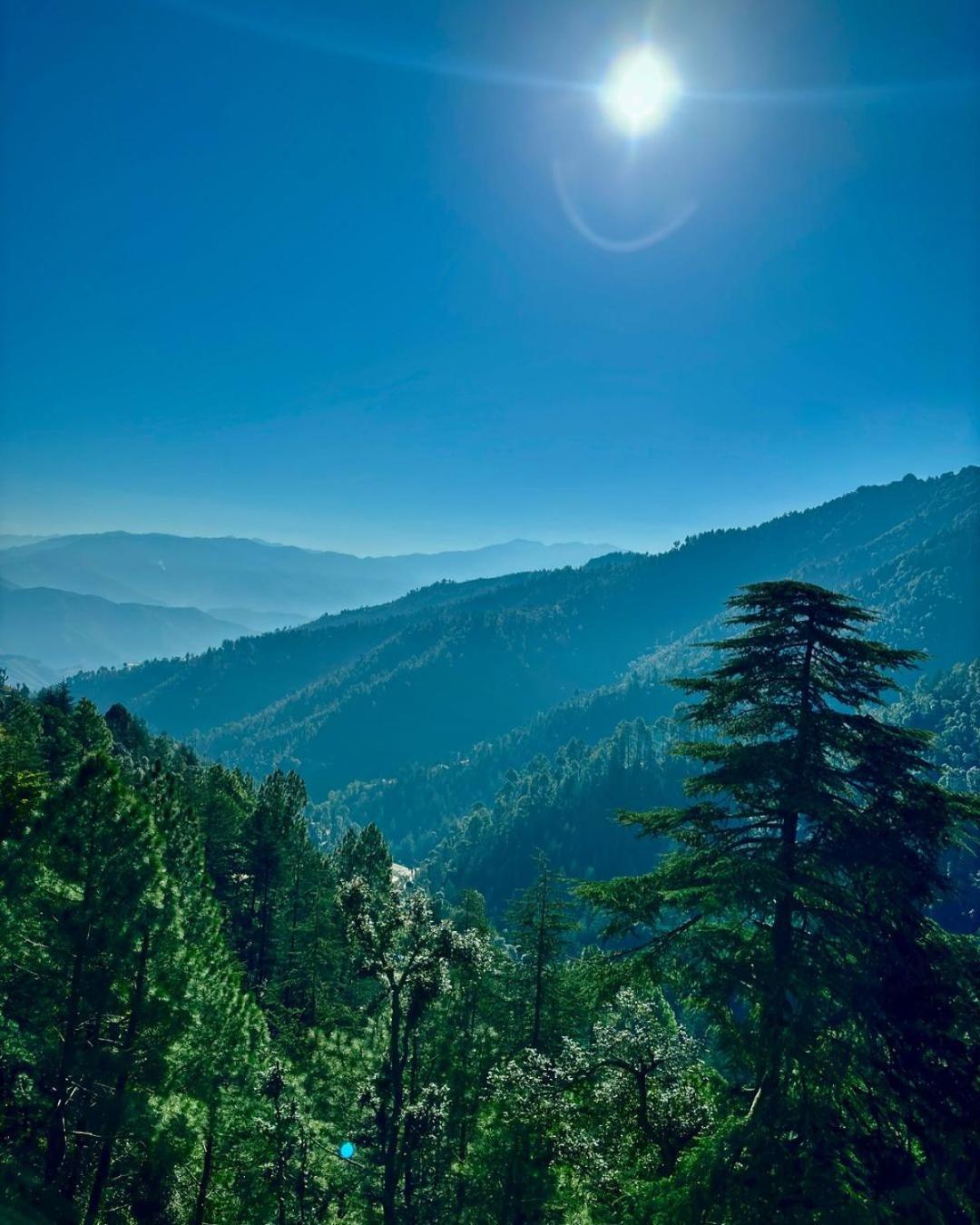 Summer Hill Resort Chail Exterior foto